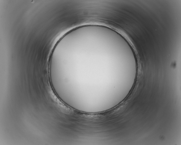 X0000111801004200907301205