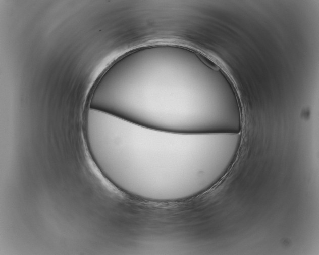 X0000111801005200907301205