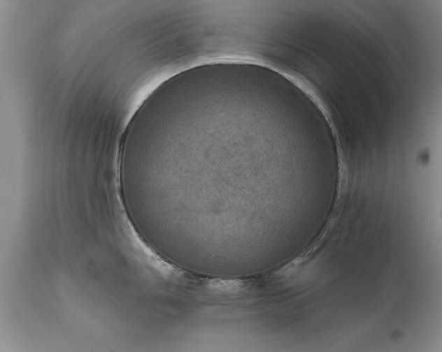 X0000111801006200907301205
