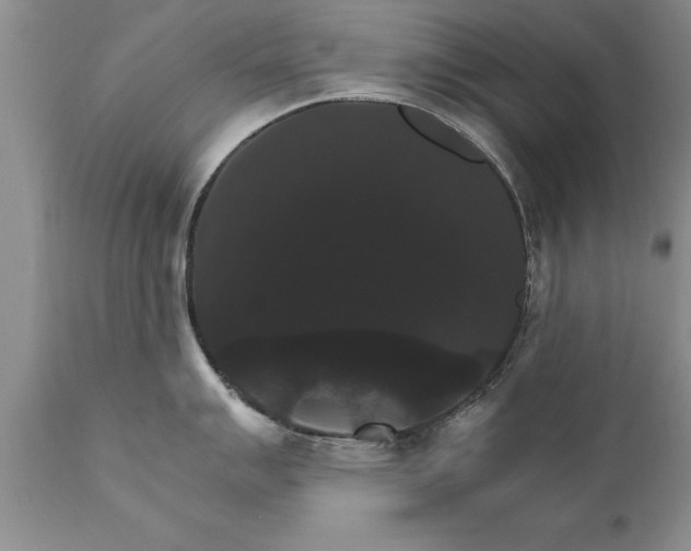 X0000111801007200907301205