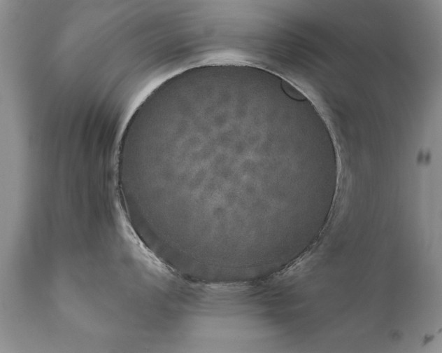 X0000111801008200907301205