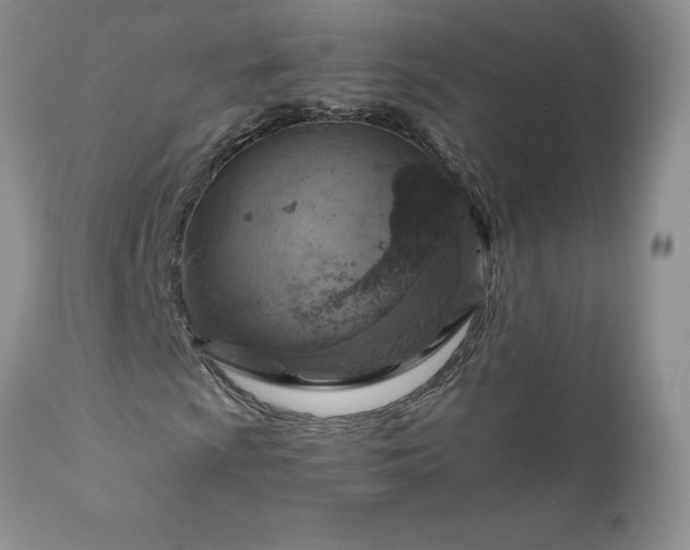 X0000111801009200907301204