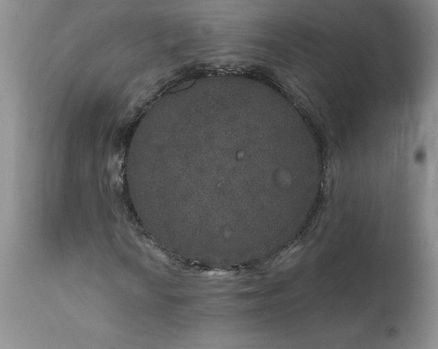 X0000111801010200907301204
