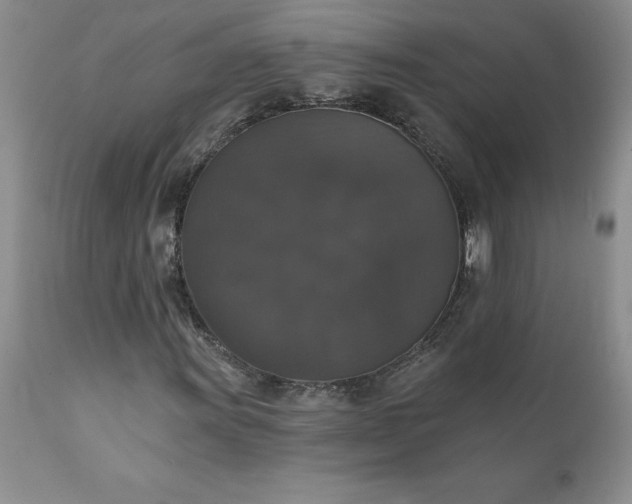 X0000111801011200907301204