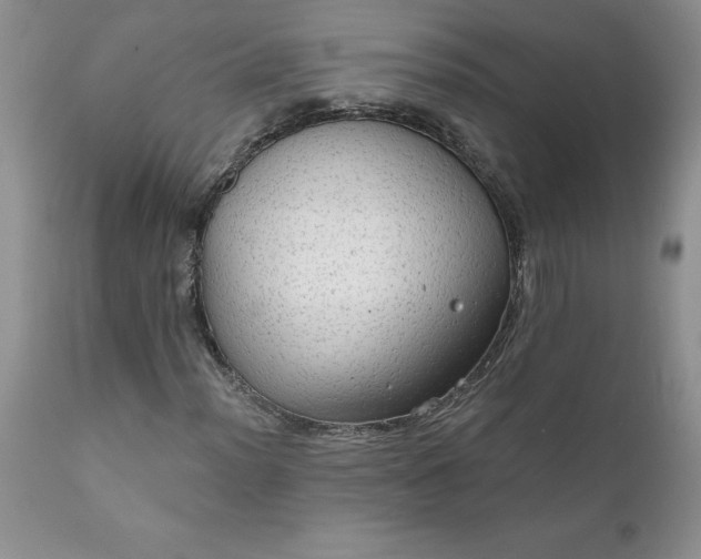 X0000111801012200907301204