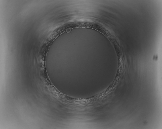 X0000111801013200907301204