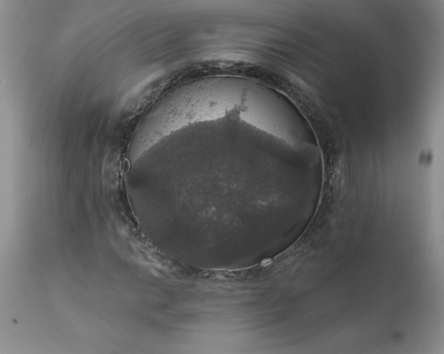 X0000111801014200907301204