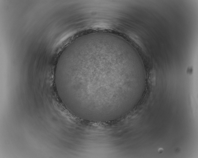 X0000111801015200907301204