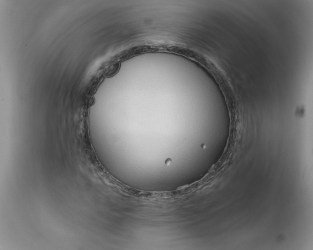 X0000111801016200907301204