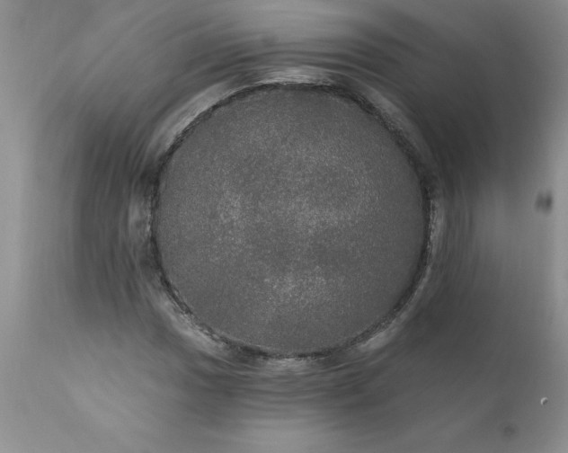 X0000111801017200907301204