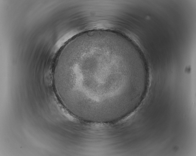 X0000111801018200907301204