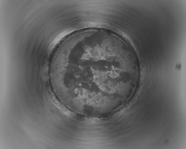 X0000111801019200907301204