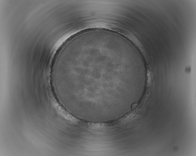 X0000111801020200907301204
