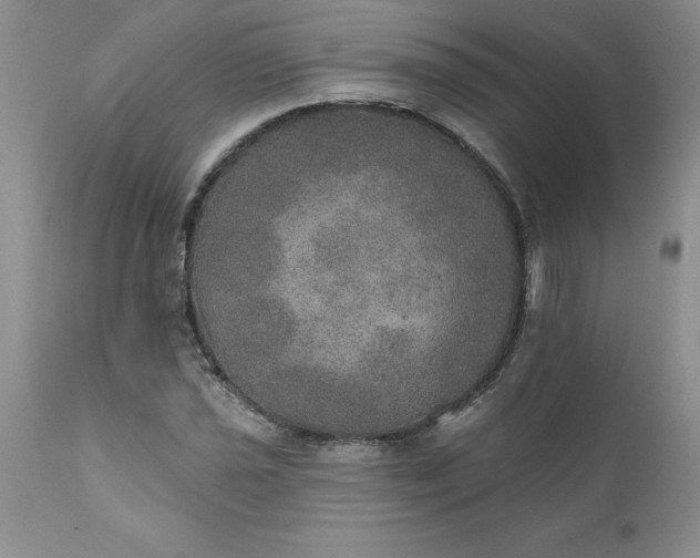 X0000111801021200907301204