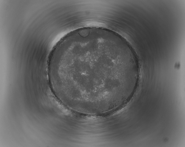 X0000111801022200907301204