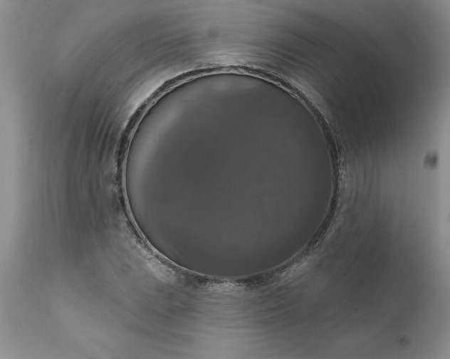 X0000111801023200907301204