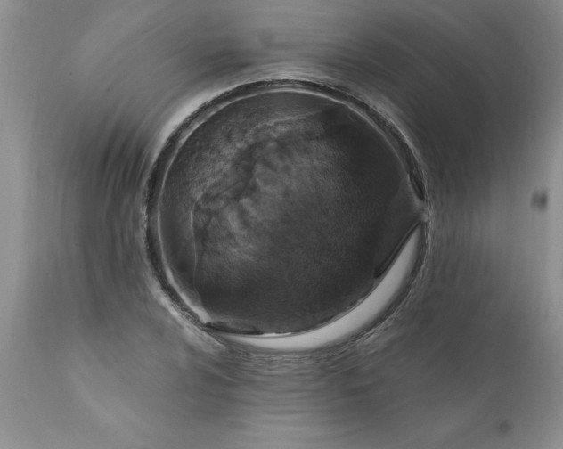 X0000111801024200907301204