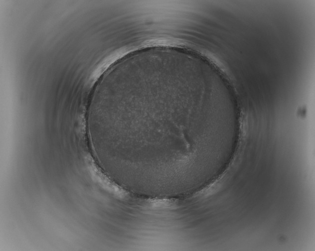 X0000111801025200907301204