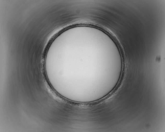 X0000111801029200907301204