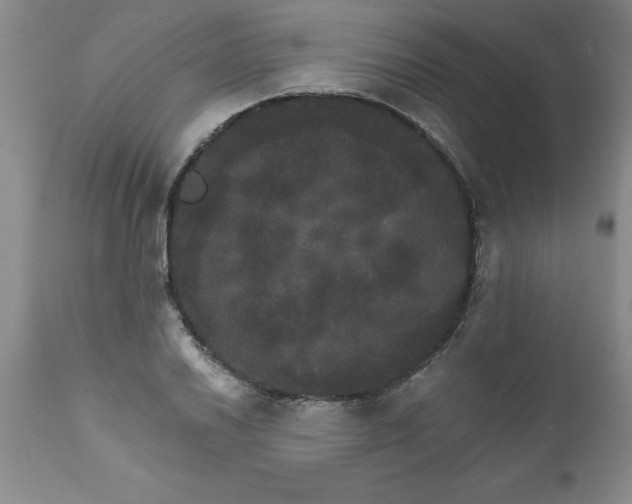 X0000111801030200907301204