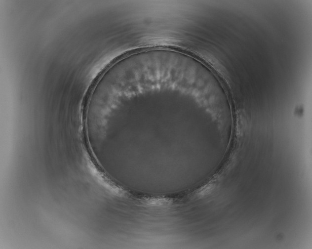 X0000111801031200907301204