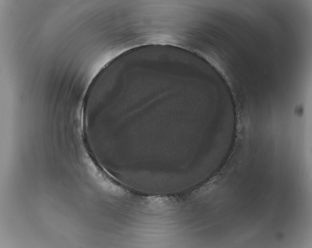 X0000111801032200907301204