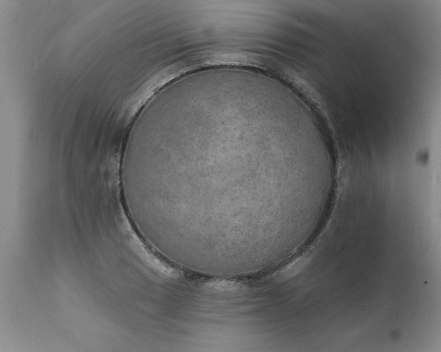 X0000111801033200907301204