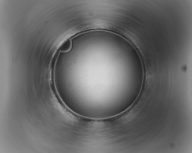 X0000111801034200907301204