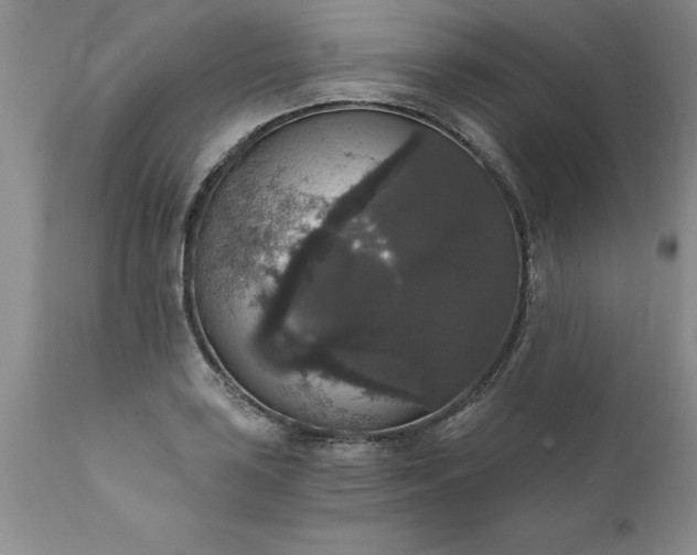 X0000111801035200907301204