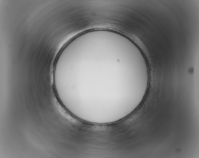 X0000111801036200907301204