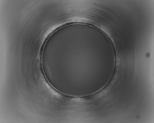 X0000111801037200907301204