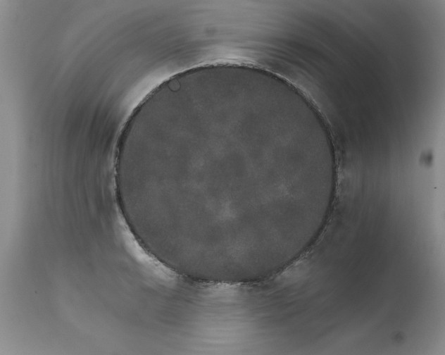 X0000111801038200907301204