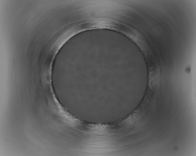 X0000111801039200907301204