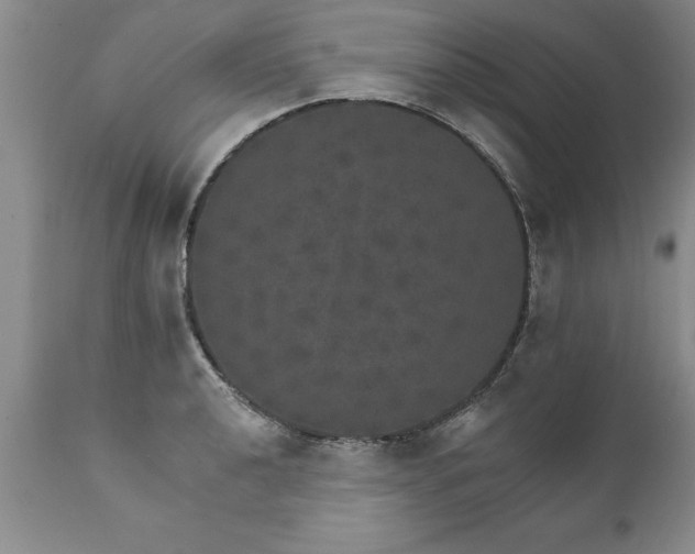 X0000111801040200907301204