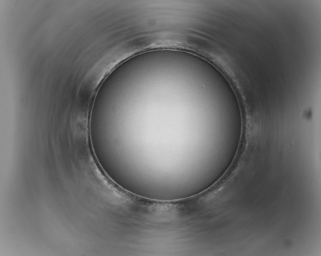 X0000111801041200907301204