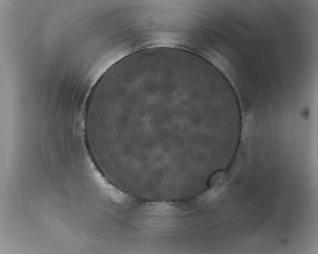 X0000111801042200907301204