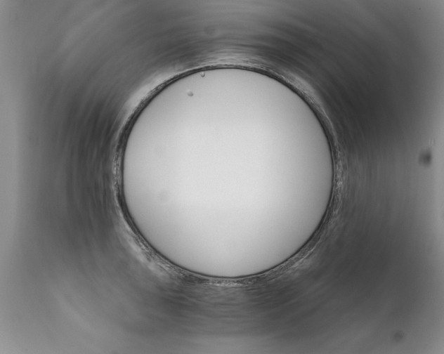 X0000111801043200907301204