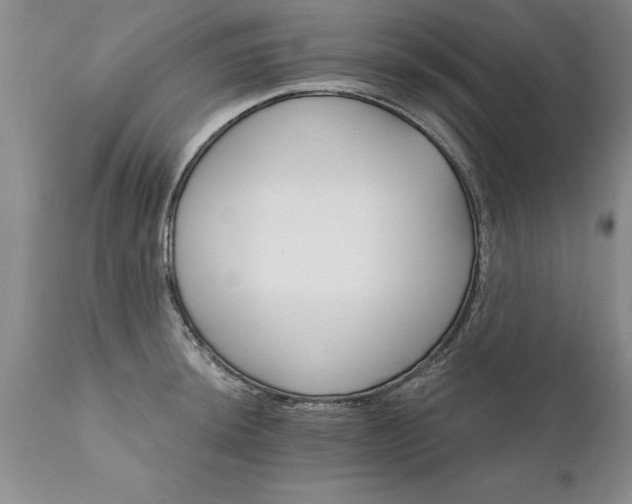 X0000111801044200907301204