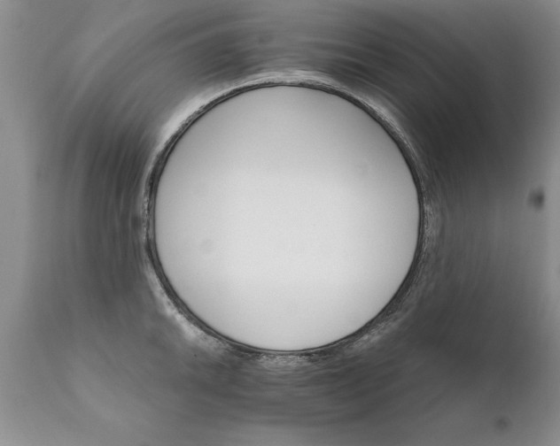 X0000111801046200907301204