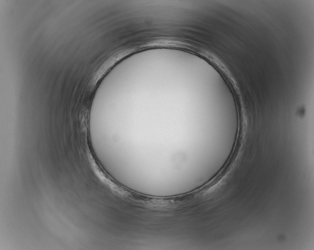 X0000111801049200907301204