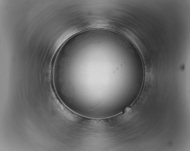 X0000111801050200907301205