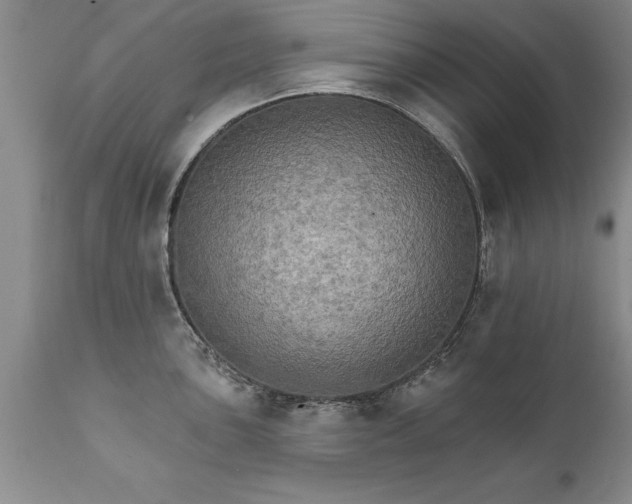 X0000111801051200907301205