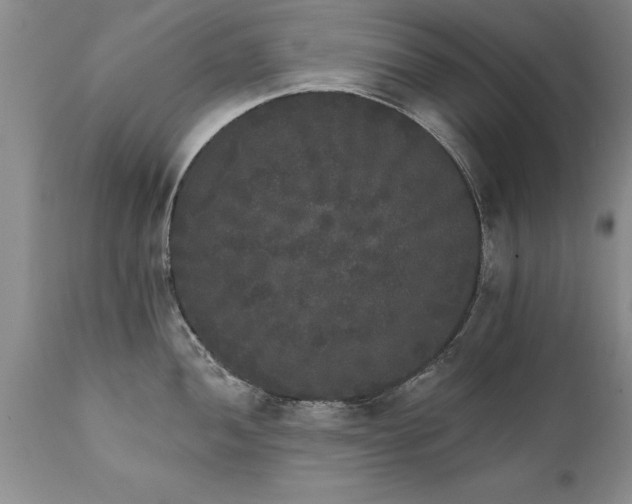 X0000111801052200907301205