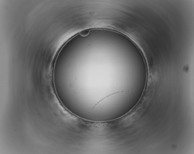 X0000111801053200907301205