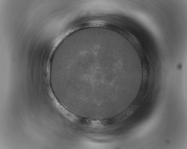 X0000111801054200907301205