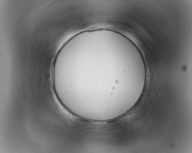 X0000111801055200907301205