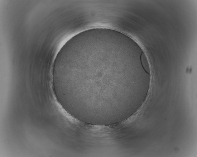 X0000111801056200907301205