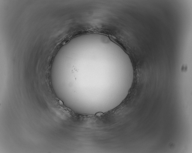 X0000111801057200907301204