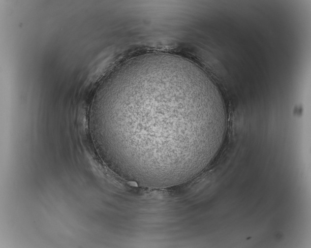 X0000111801058200907301204