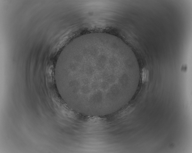 X0000111801059200907301204